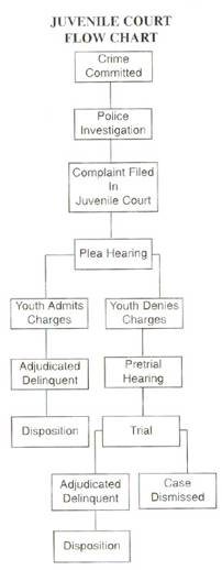Juvenile Court Flow Chart