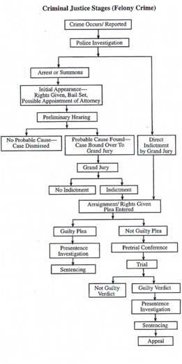Crimal Court Flow Chart